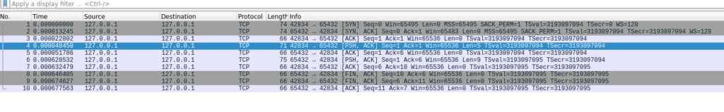 Network traffic capture showing SYN/ACK handshake, and some data transfer